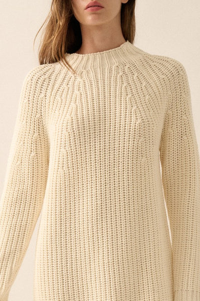 Solid Knit Mini Sweater Dress